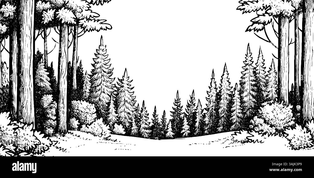A detailed black and white illustration of a forest scene, featuring ...