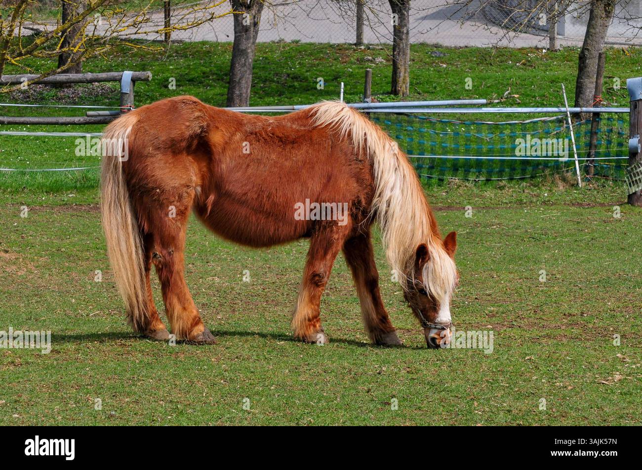 Landwirtschaft, Bauernhof 11.04.2025, LINZ, AUT, Landwirtschaft ...