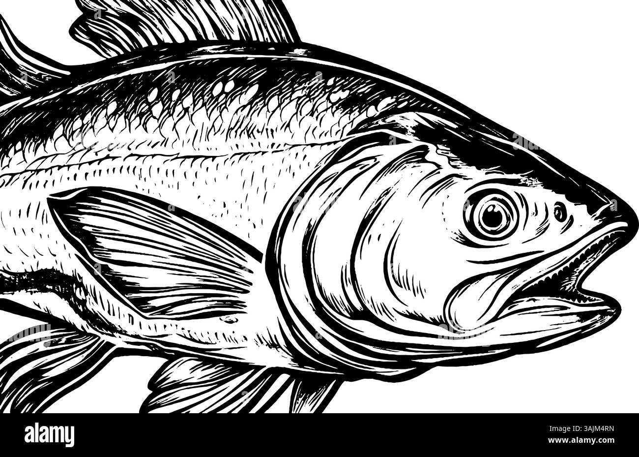 A detailed illustration of a fish, showcasing its scales, fins, and ...