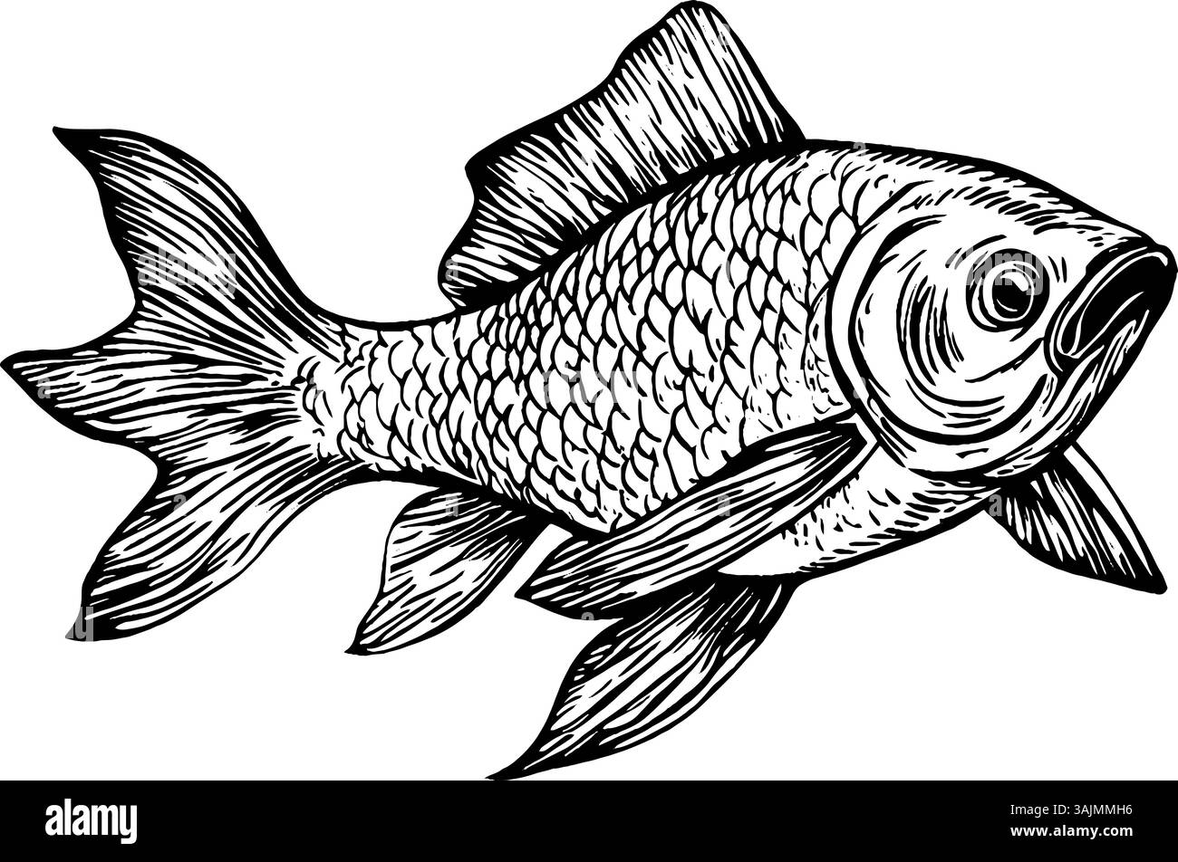 Dynamic Drawing Fish A detailed illustration of a fish, showcasing its scales and fins in a ...