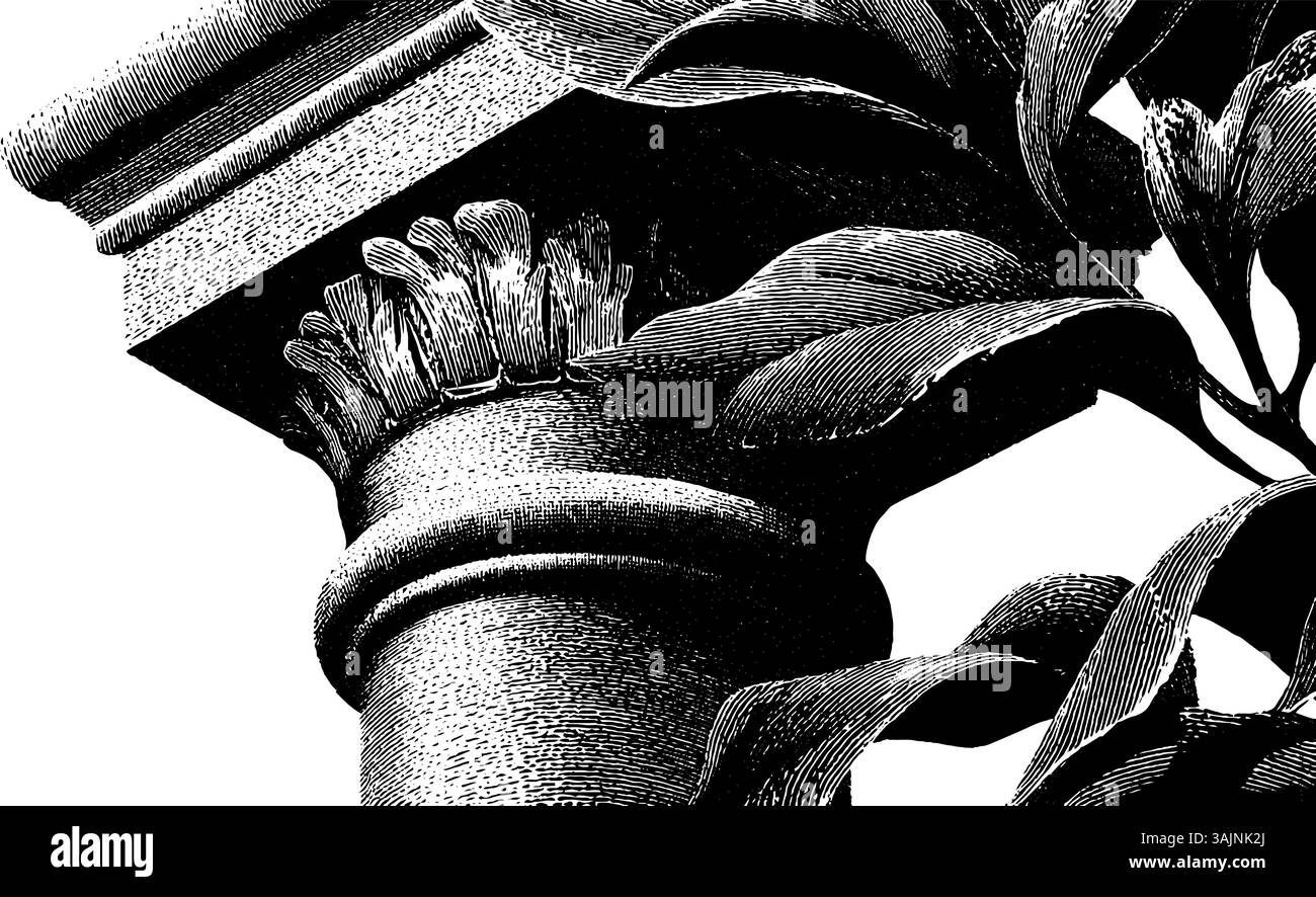 Ornate corinthian column with stylized leaves in black and white Stock ...