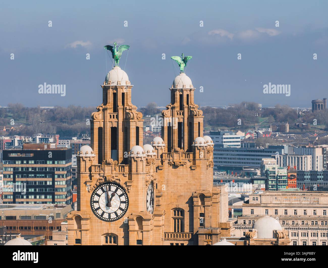 Aerial View of the Royal Liver Building in Liverpool, England Stock ...