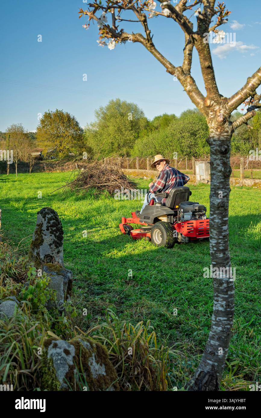 Man on riding lawn mower Stock Photo - Alamy