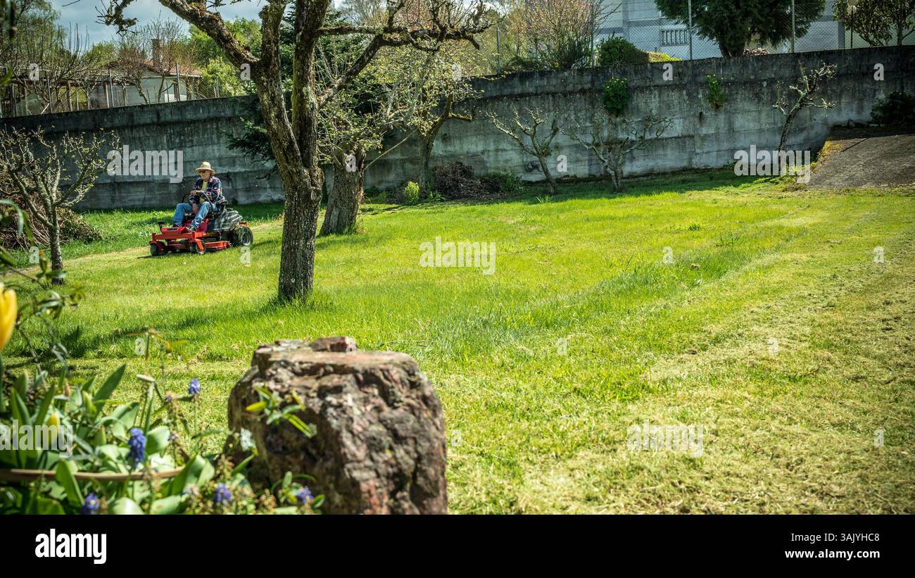 Man on riding lawn mower Stock Photo - Alamy