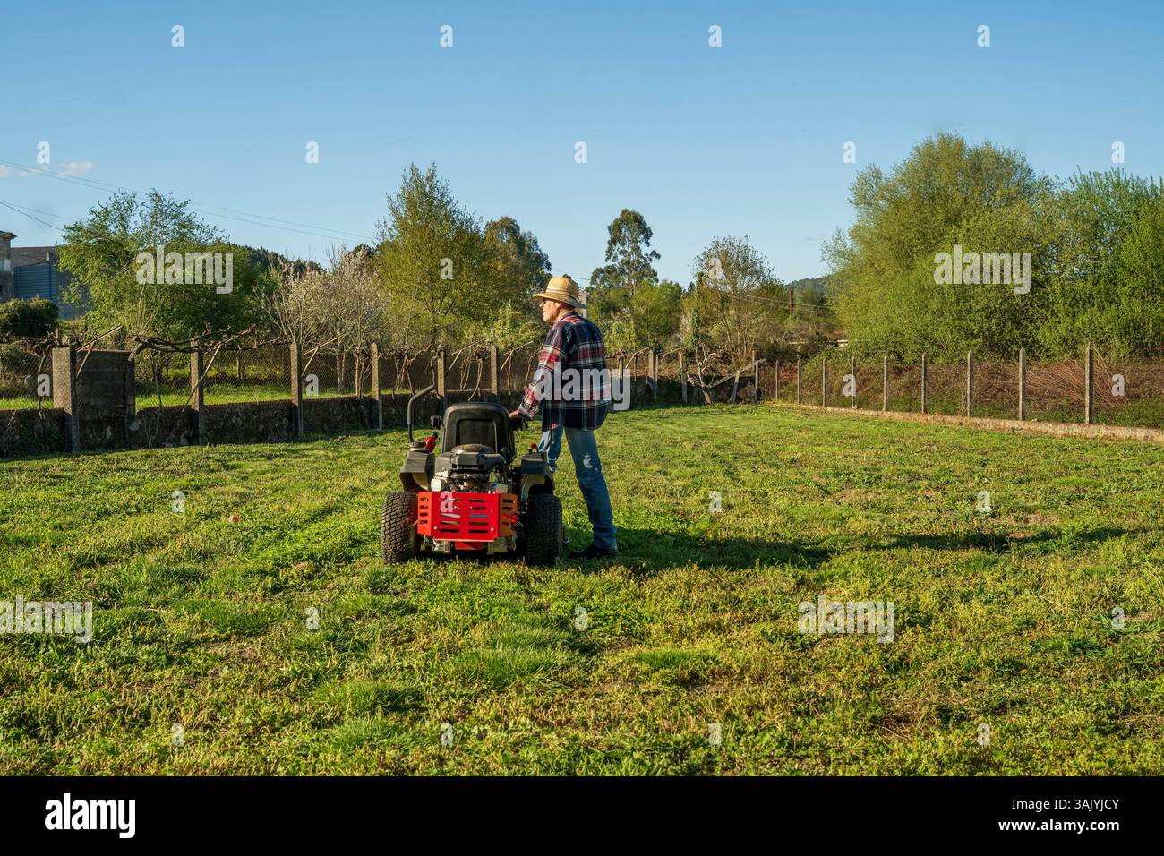 Man on riding lawn mower Stock Photo - Alamy