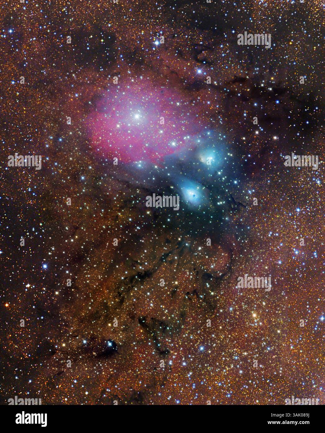 NGC BU 2023P 50C ケネディー ファーストリリース 086 Hanson Astrophotography-NGC 2023