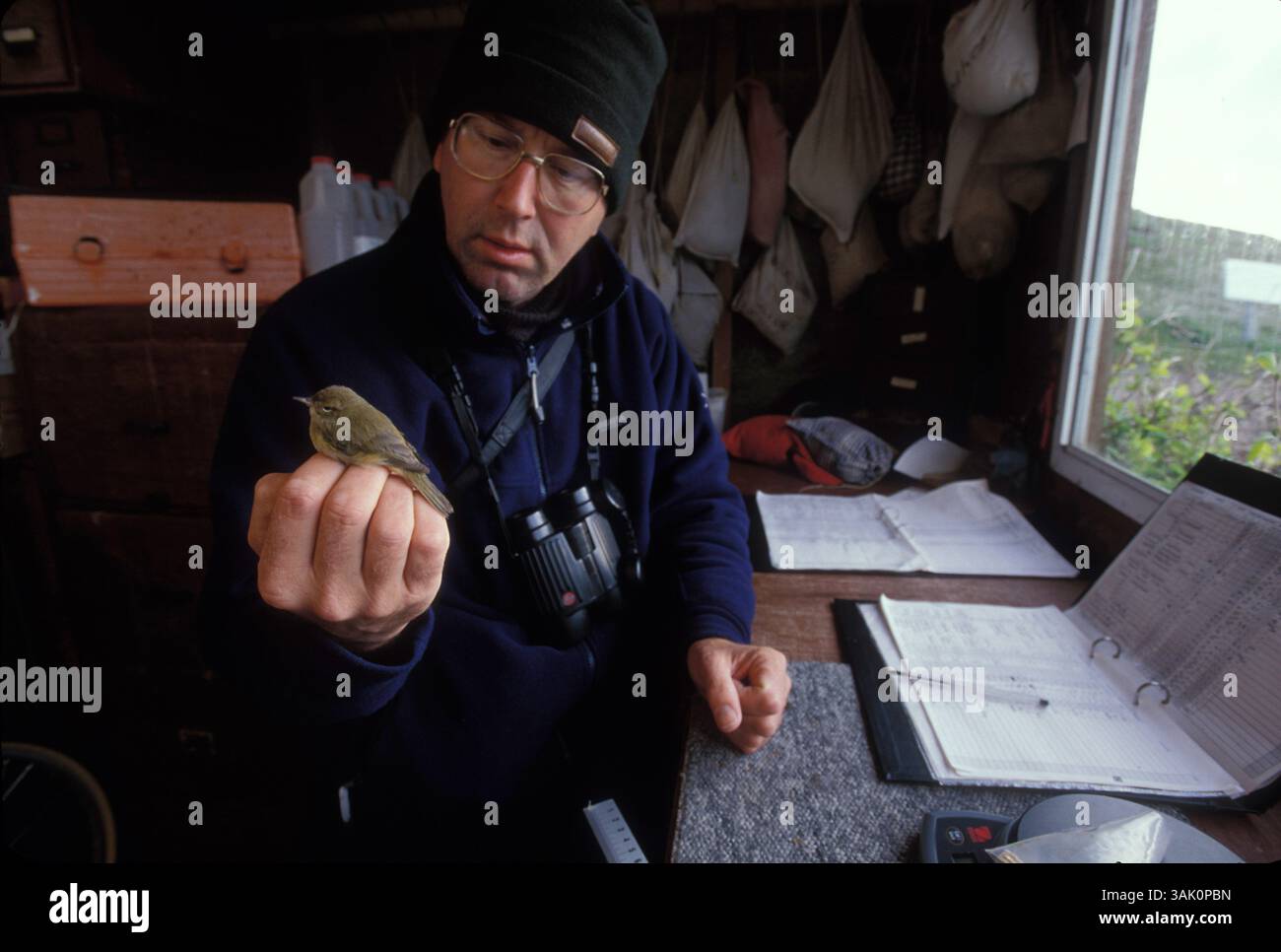 Dungeness bird observatory hi-res stock photography and images - Alamy