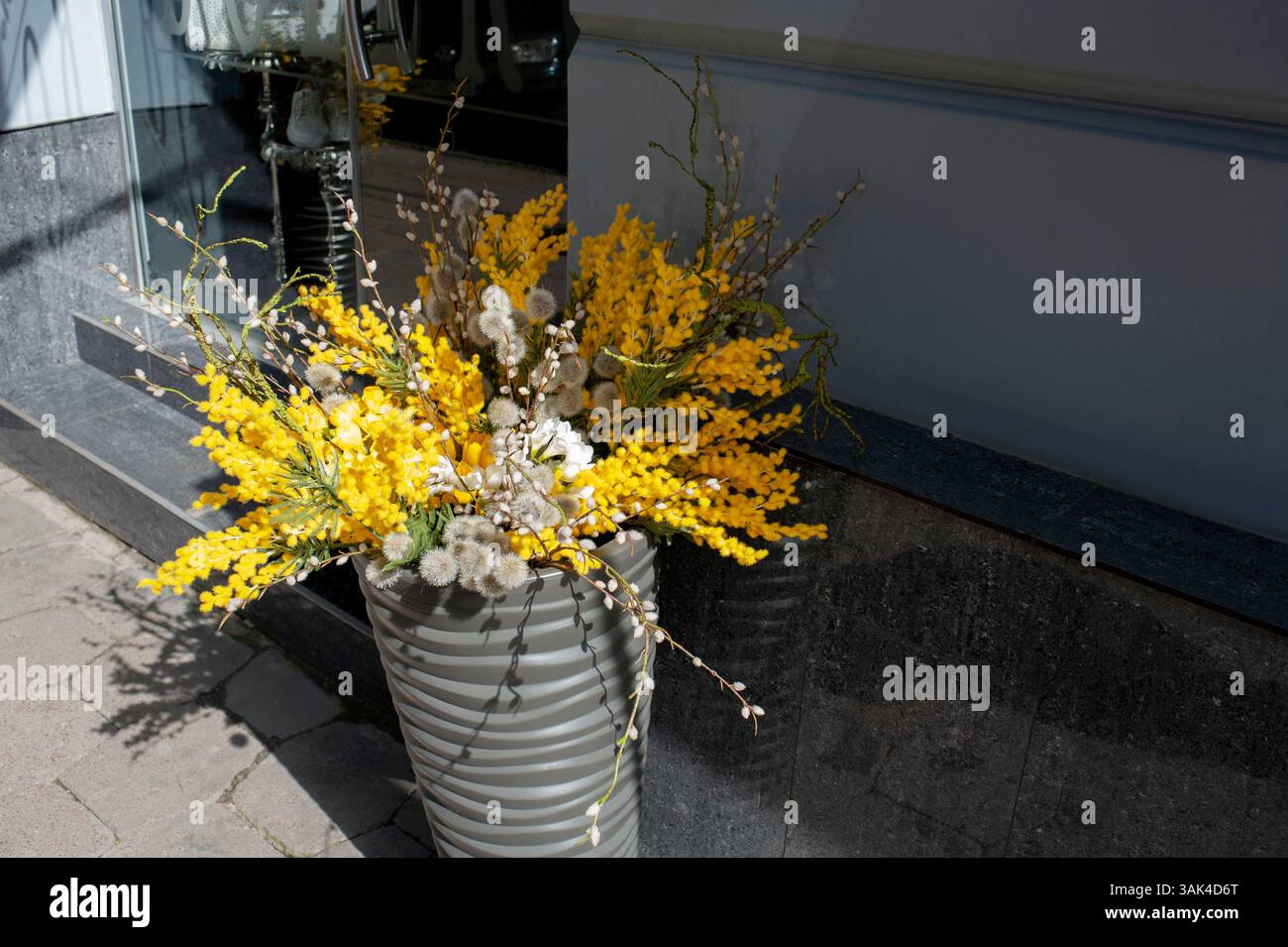 Mimosa in vase hi-res stock photography and images - Alamy
