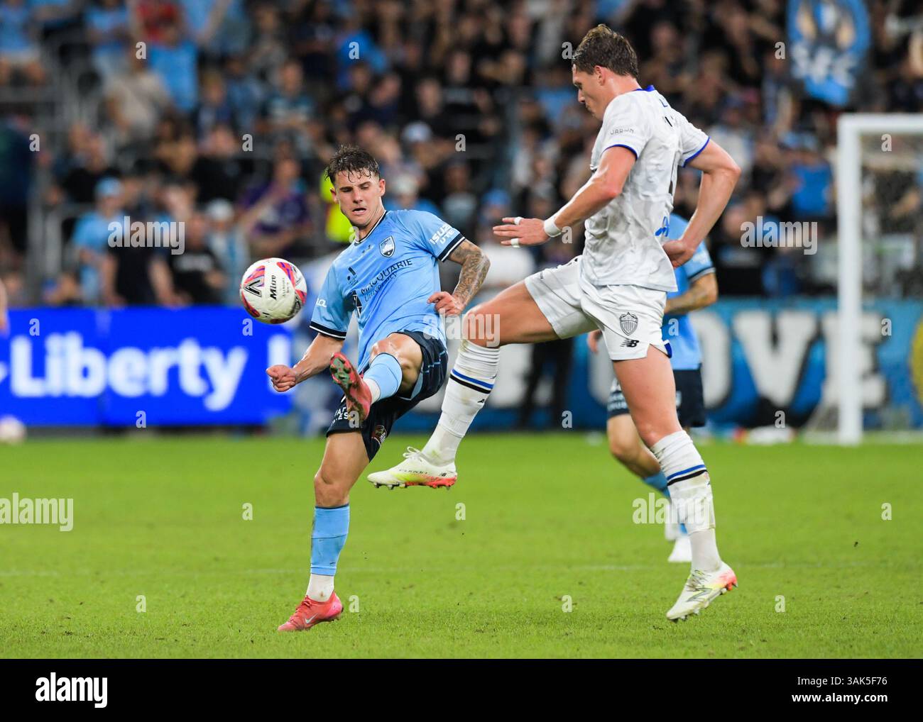Adrian Segecic (L) of Sydney FC and Nando Zen Pijnaker (R) of Auckland ...