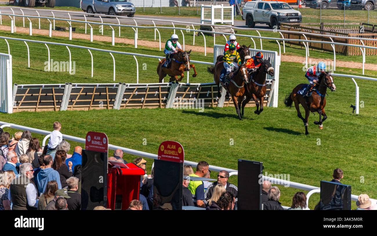 Newtown Races England Horse racing over hurdles and racing to a finish at Newton Abbot ...