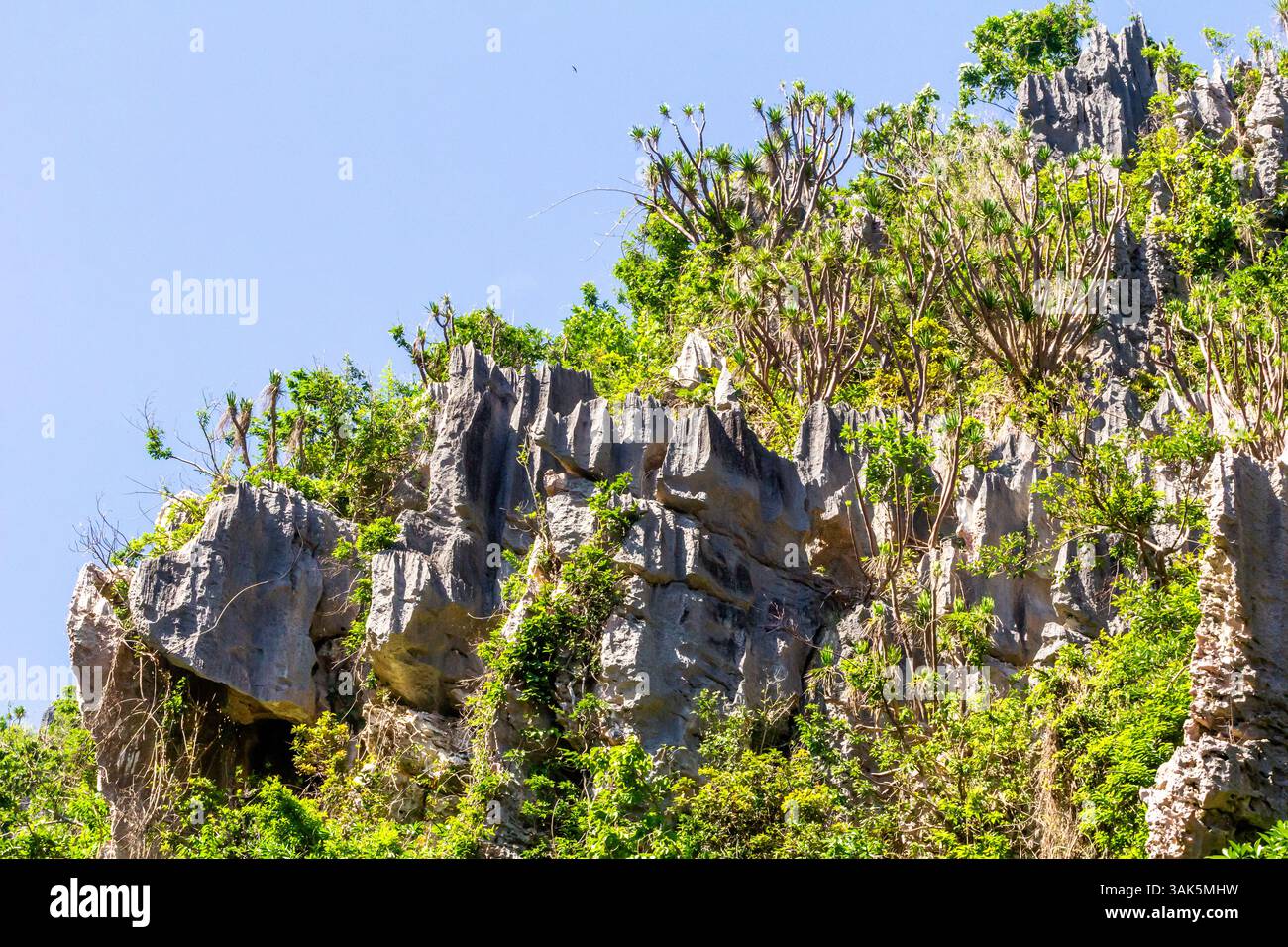Isla Sharp Sharp limestone karst cliffs overgrown with lush vegetation at the ...