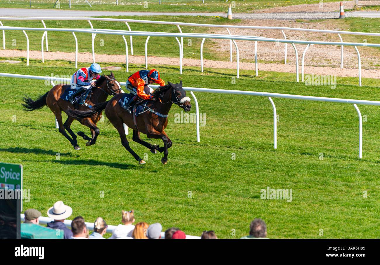 Newtown Races England Horse racing over hurdles and racing to a finish at Newton Abbot ...