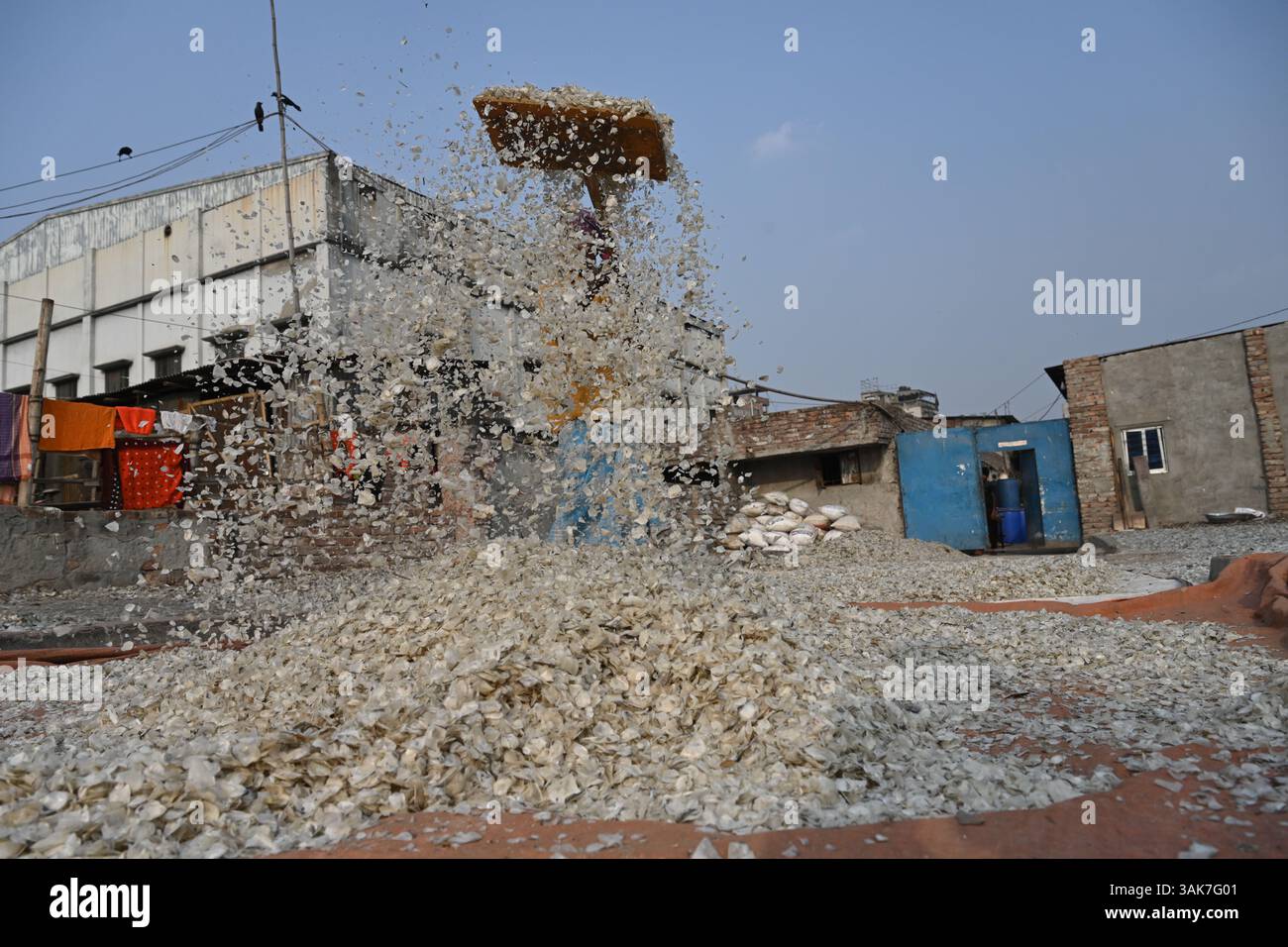 Workers are processing fish scales for export at a factory at ...