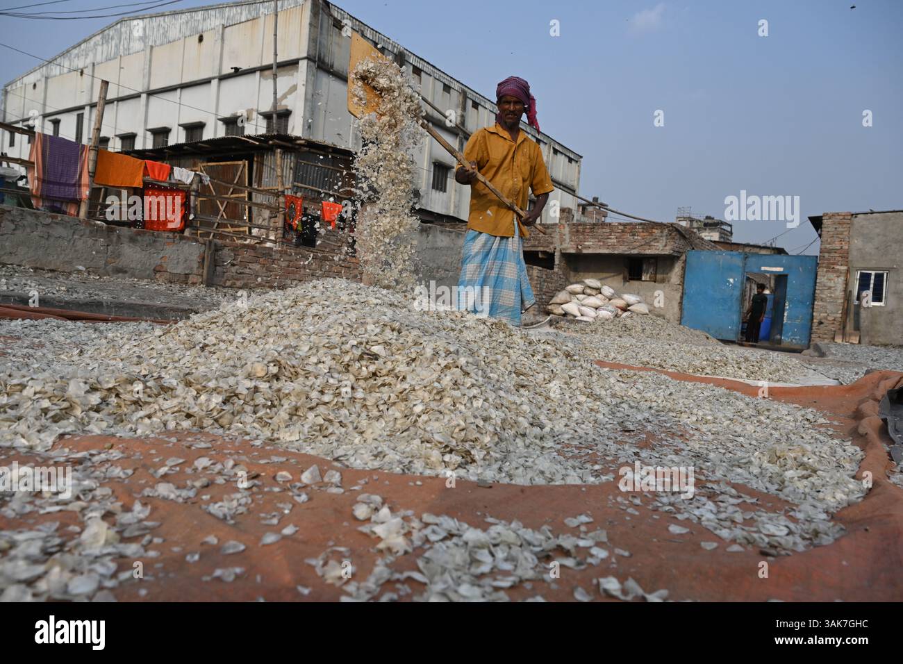 Workers are processing fish scales for export at a factory at ...