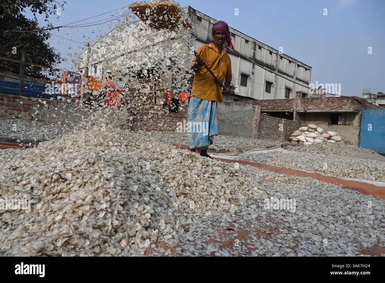 Workers are processing fish scales for export at a factory at ...