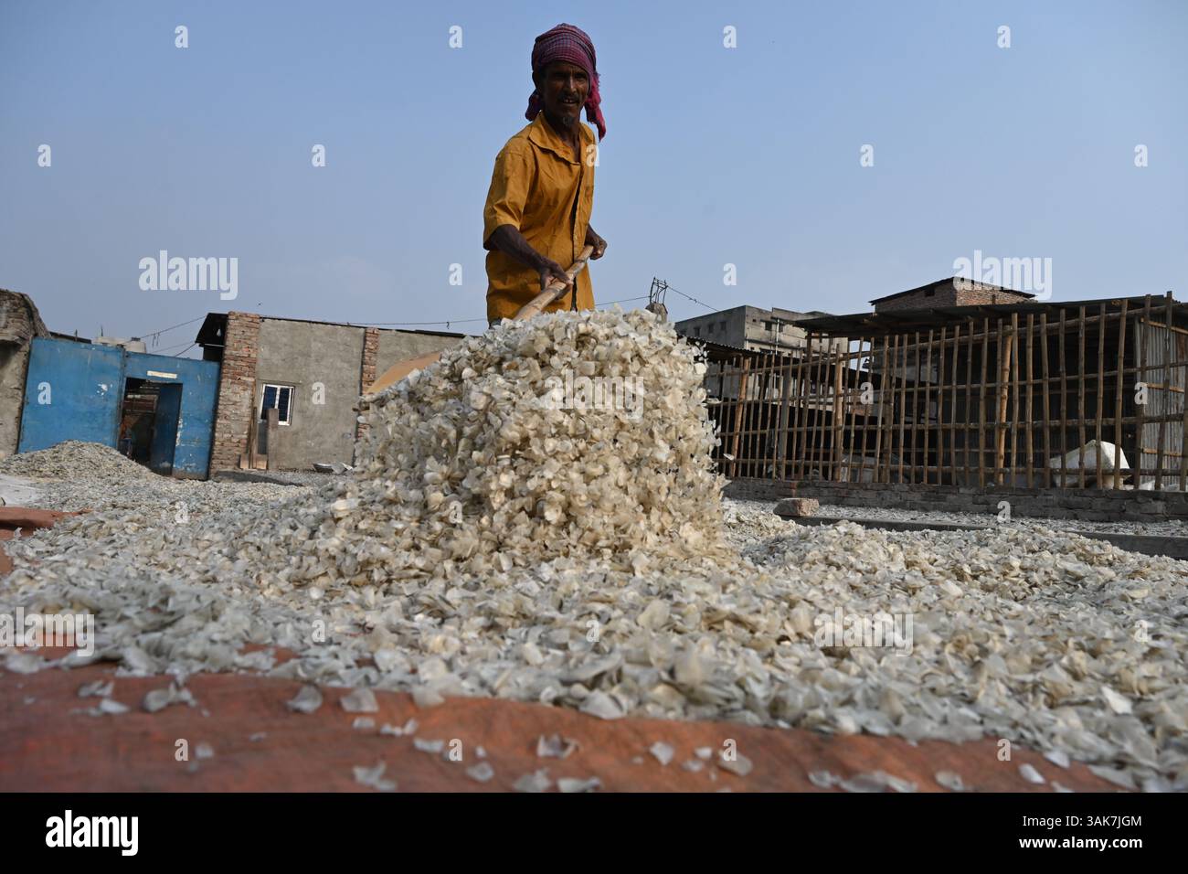 Workers are processing fish scales for export at a factory at ...
