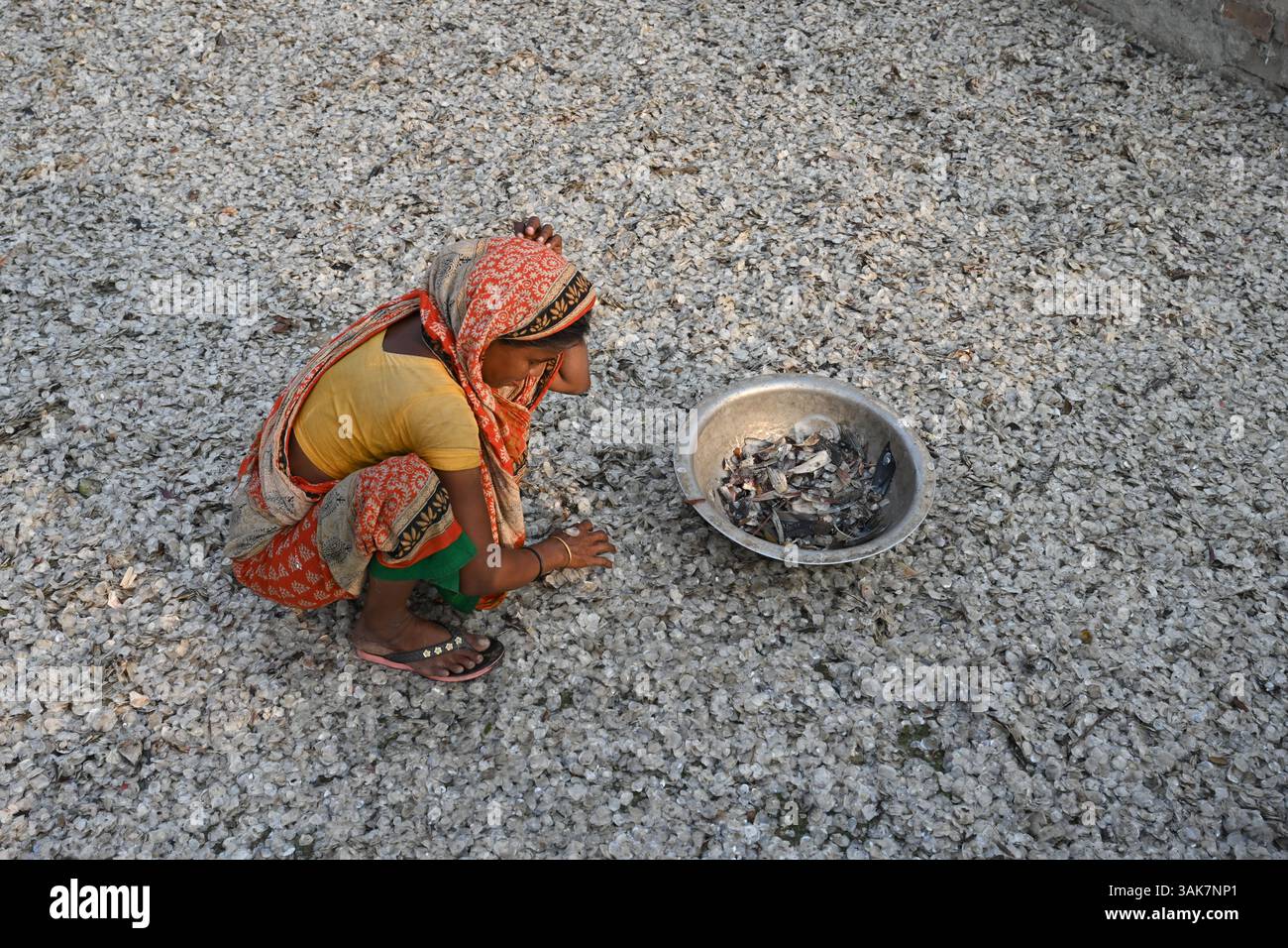 Workers are processing fish scales for export at a factory at ...