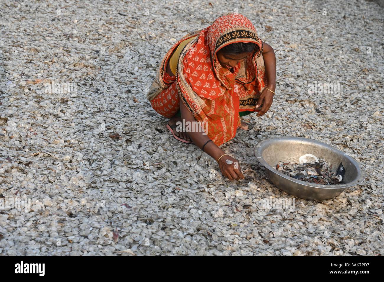 Workers are processing fish scales for export at a factory at ...