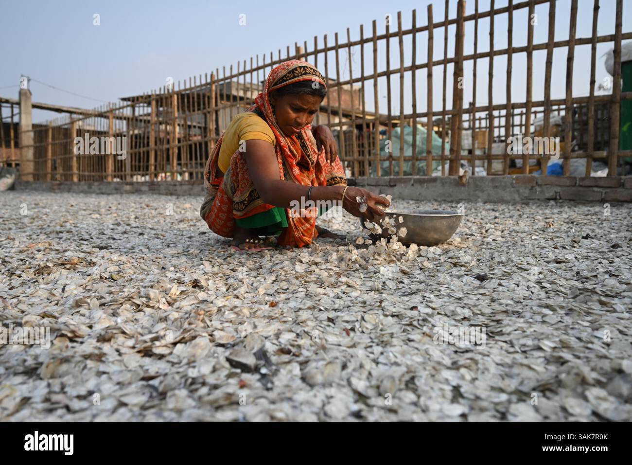 Workers are processing fish scales for export at a factory at ...