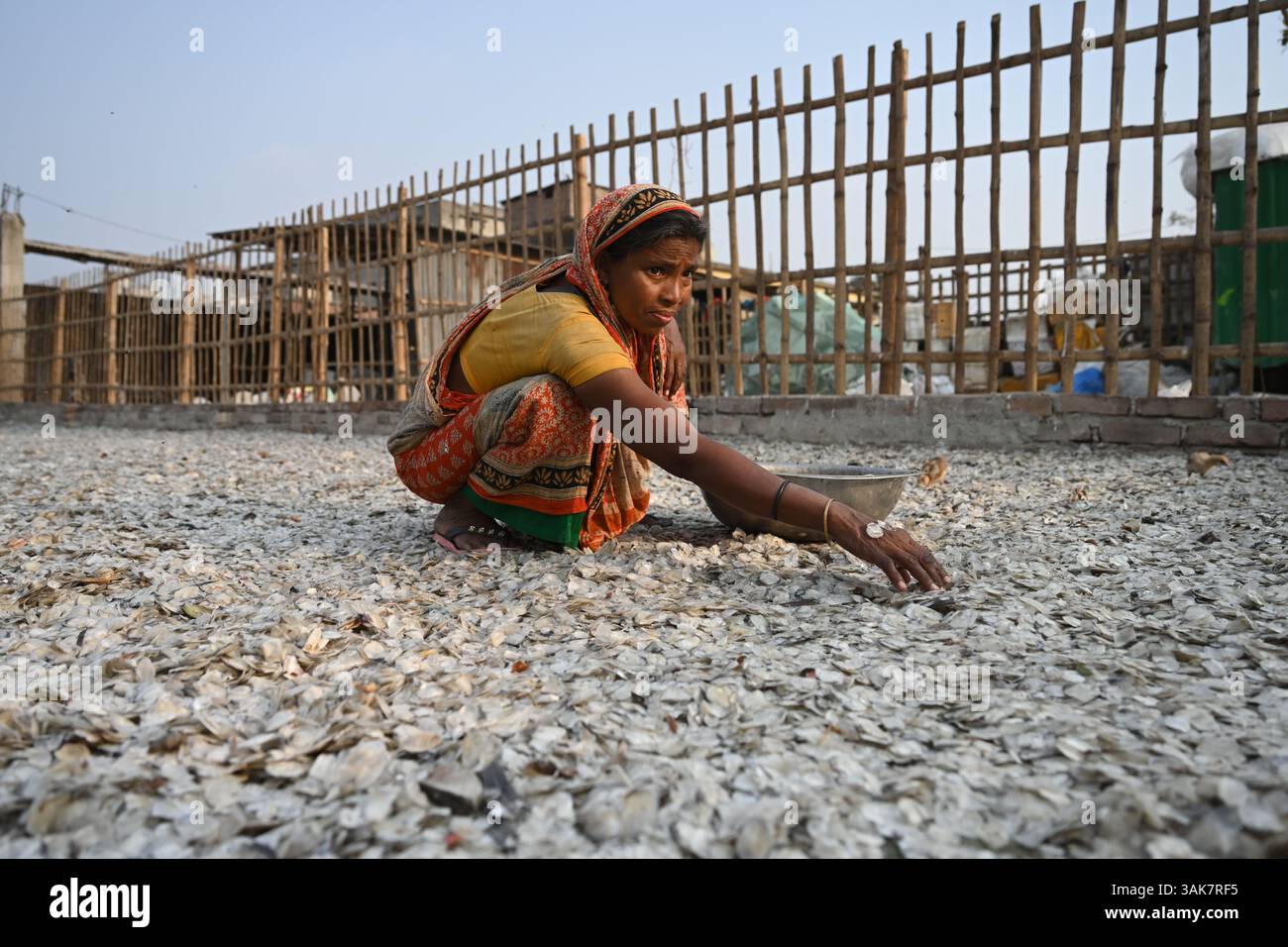 Workers are processing fish scales for export at a factory at ...