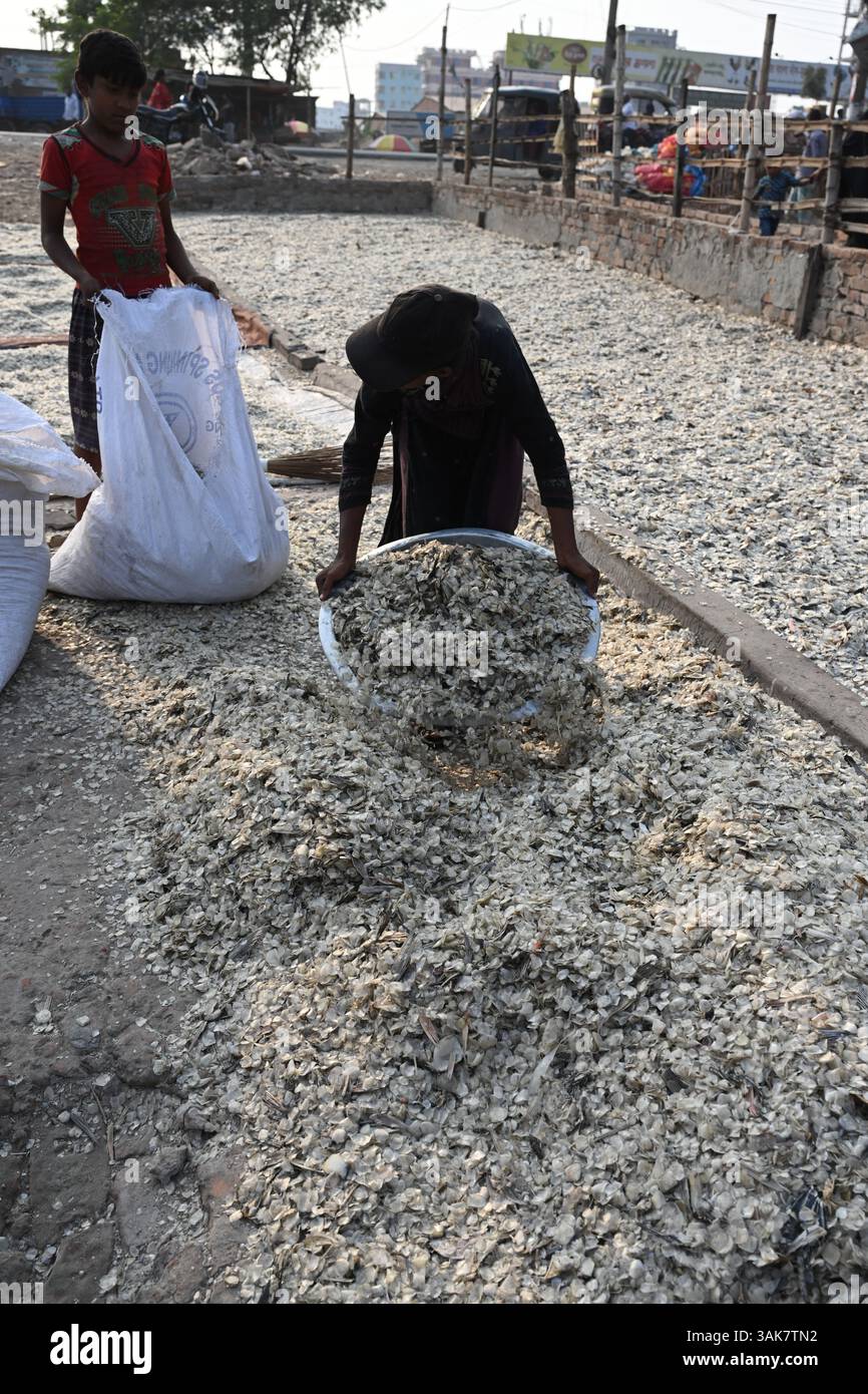 Workers are processing fish scales for export at a factory at ...
