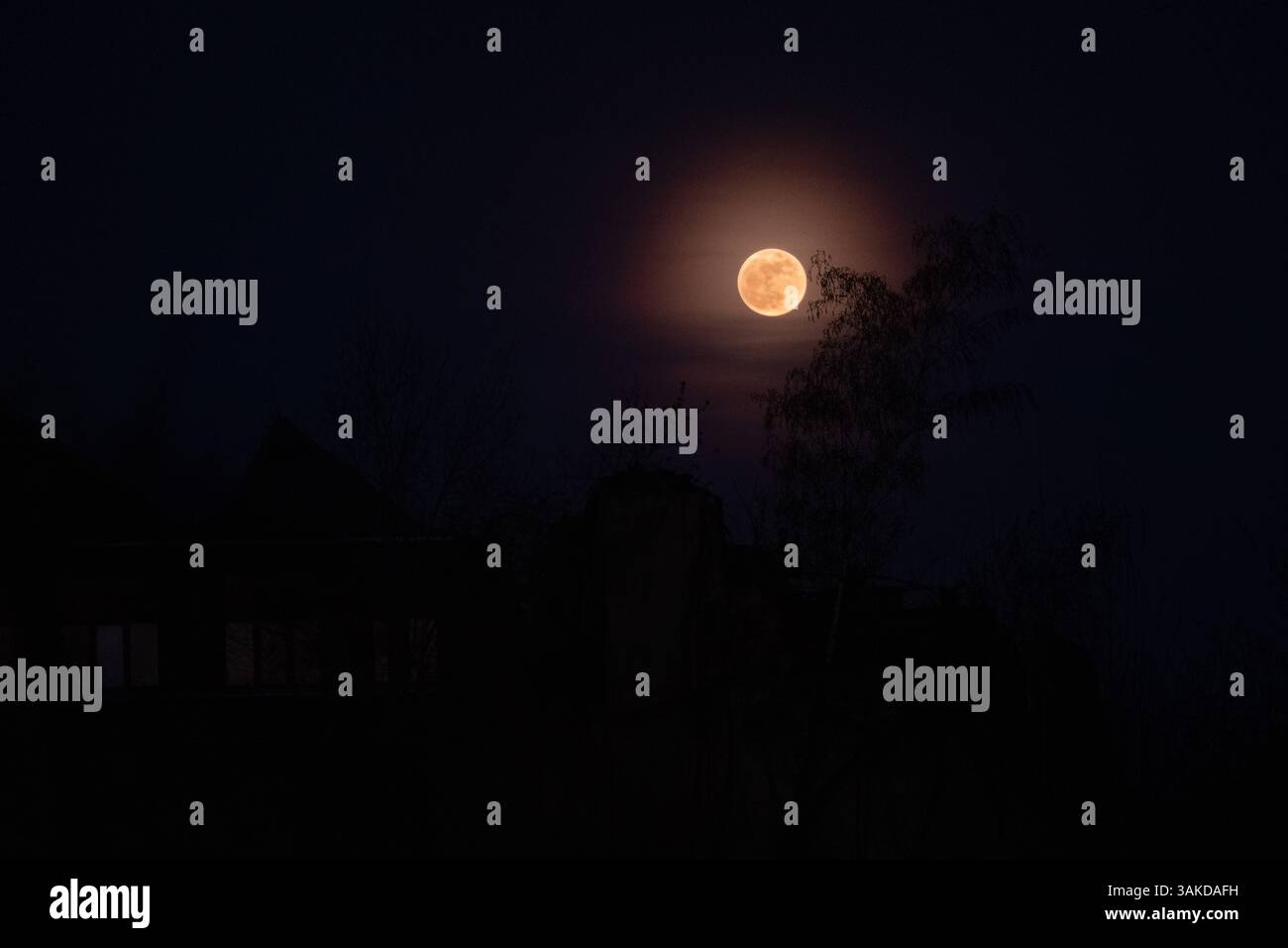 Der erste Frühlingsvollmond, auch Pink Moon genannt, steigt über ...