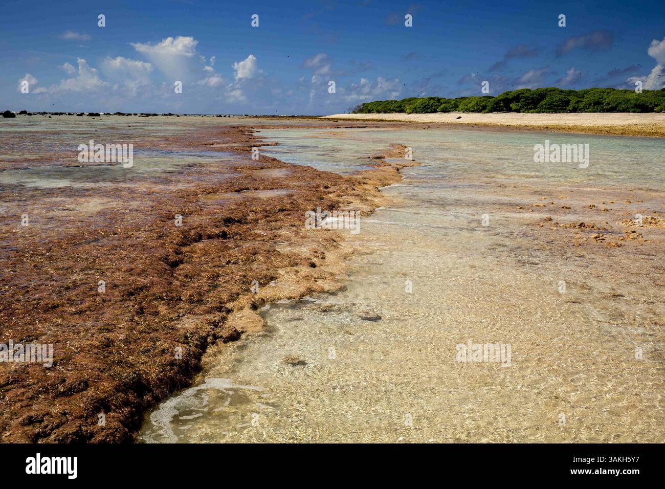 Eastern american samoa island hi-res stock photography and images - Alamy