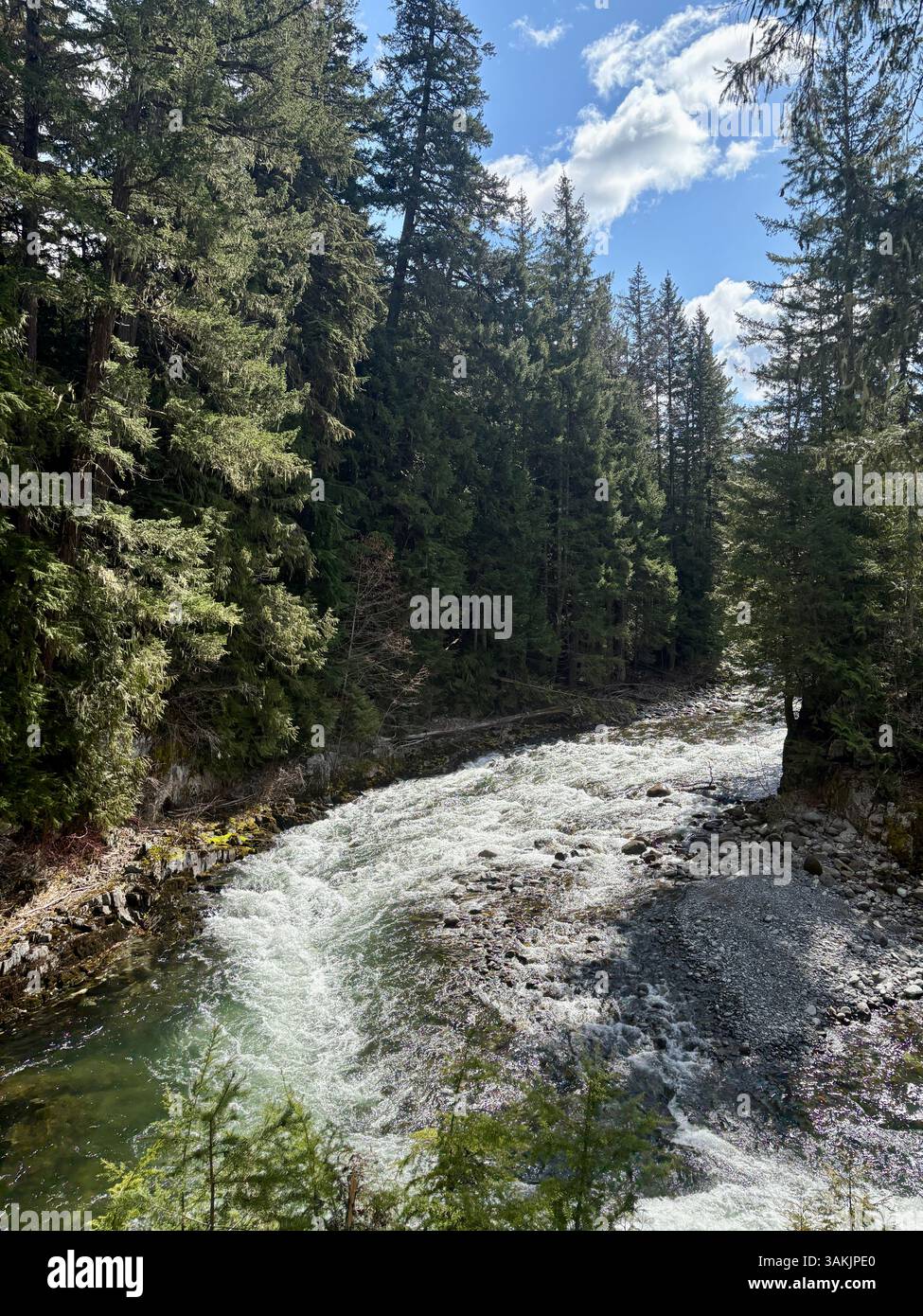 Forest River Flowing Under Partly Cloudy Sky - Smartphone Captured Stock Image