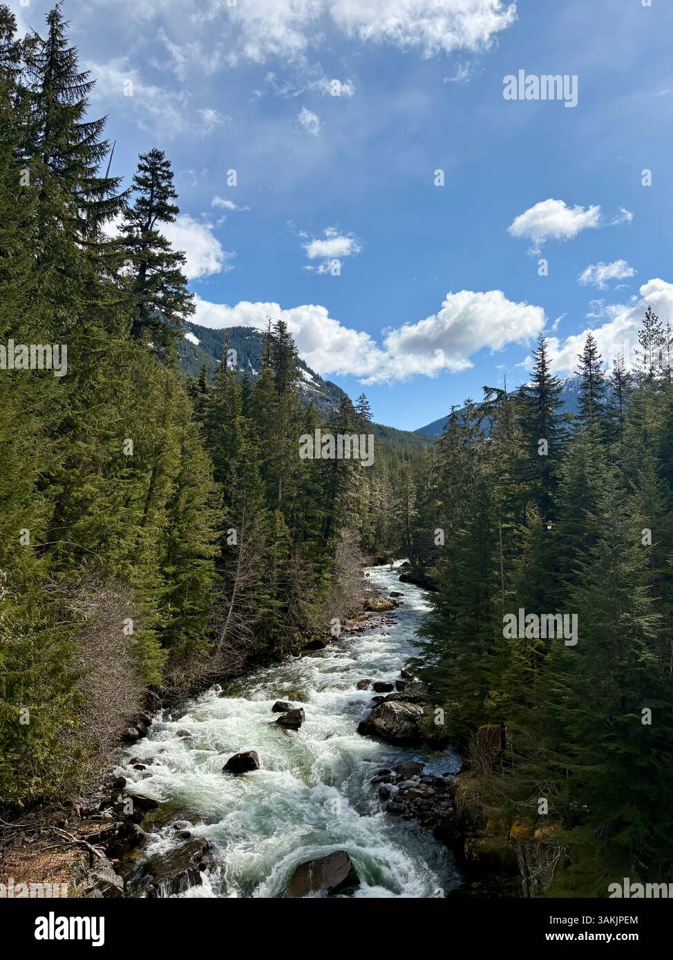 Mountain River Flowing Through Evergreen Valley - Smartphone Captured Stock Image