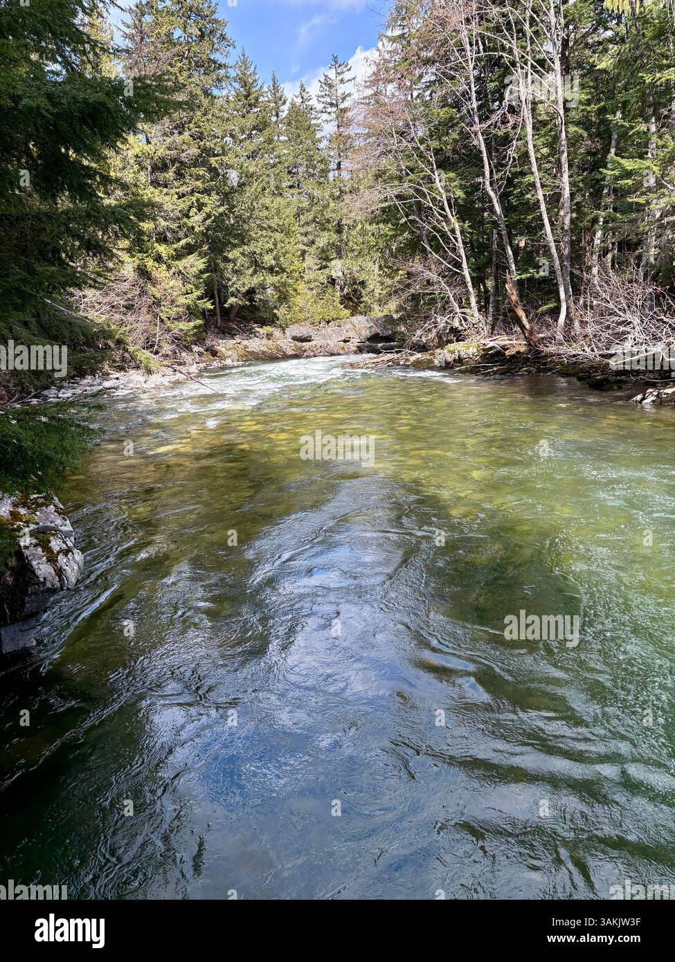 Clear Forest River with Reflections and Swirling Current - Smartphone Captured Stock Image