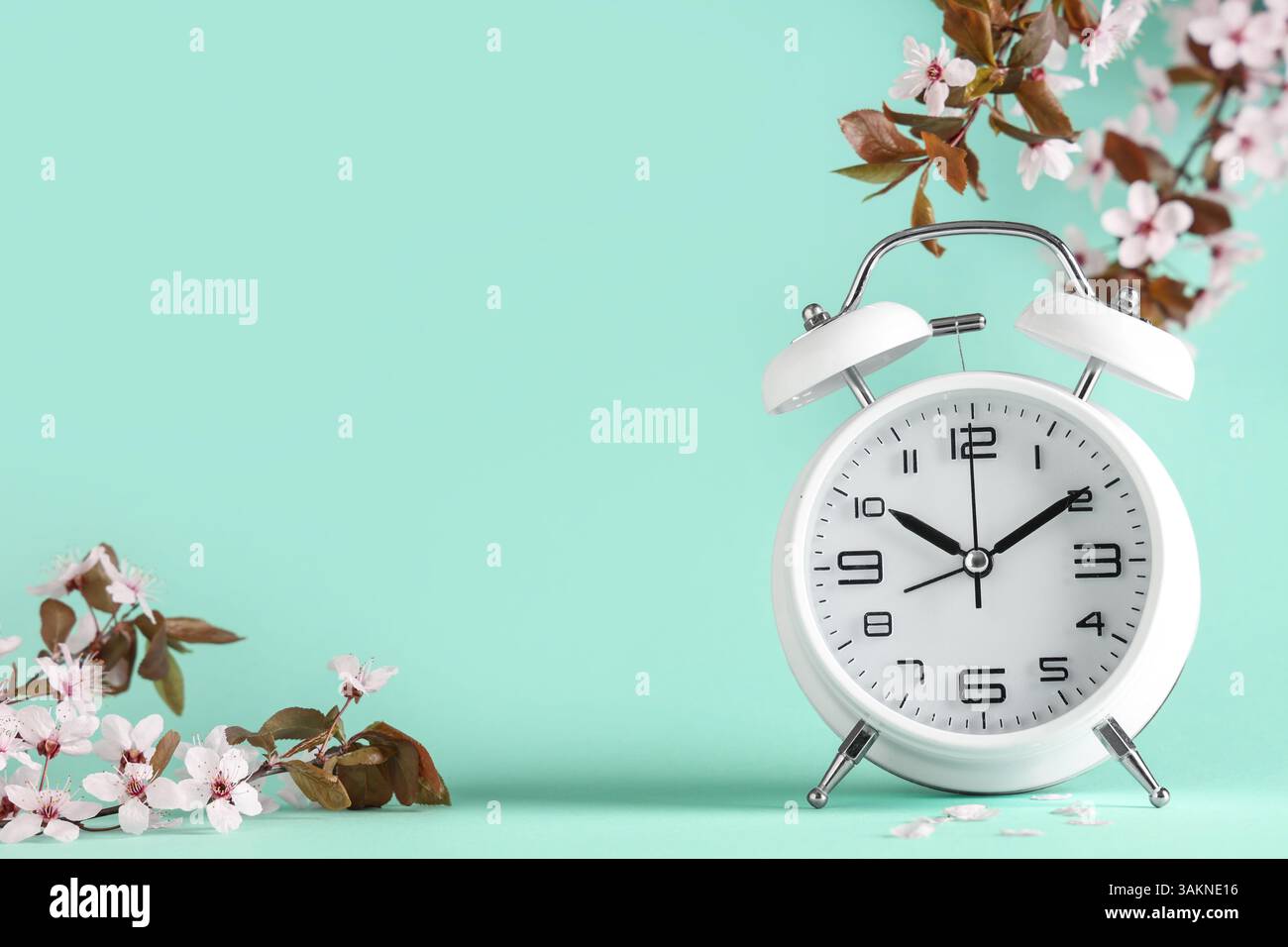 Alarm clock and blooming branches on turquoise background. Spring time ...