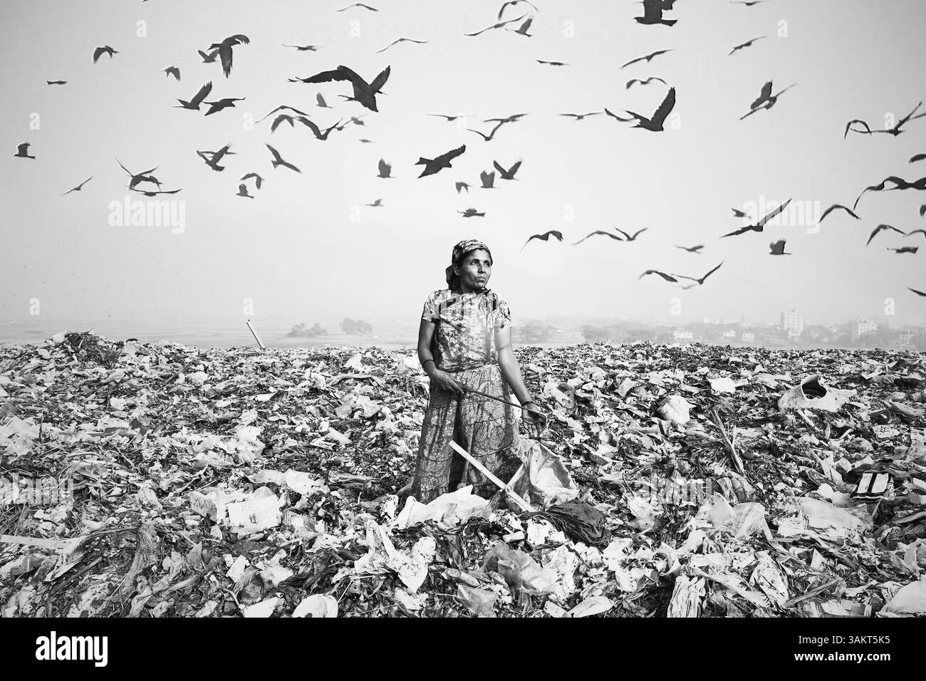 A woman scavenges in a vast landfill as birds circle overhead, highlighting poverty, survival, and the environmental toll of urban waste. Stock Photo
