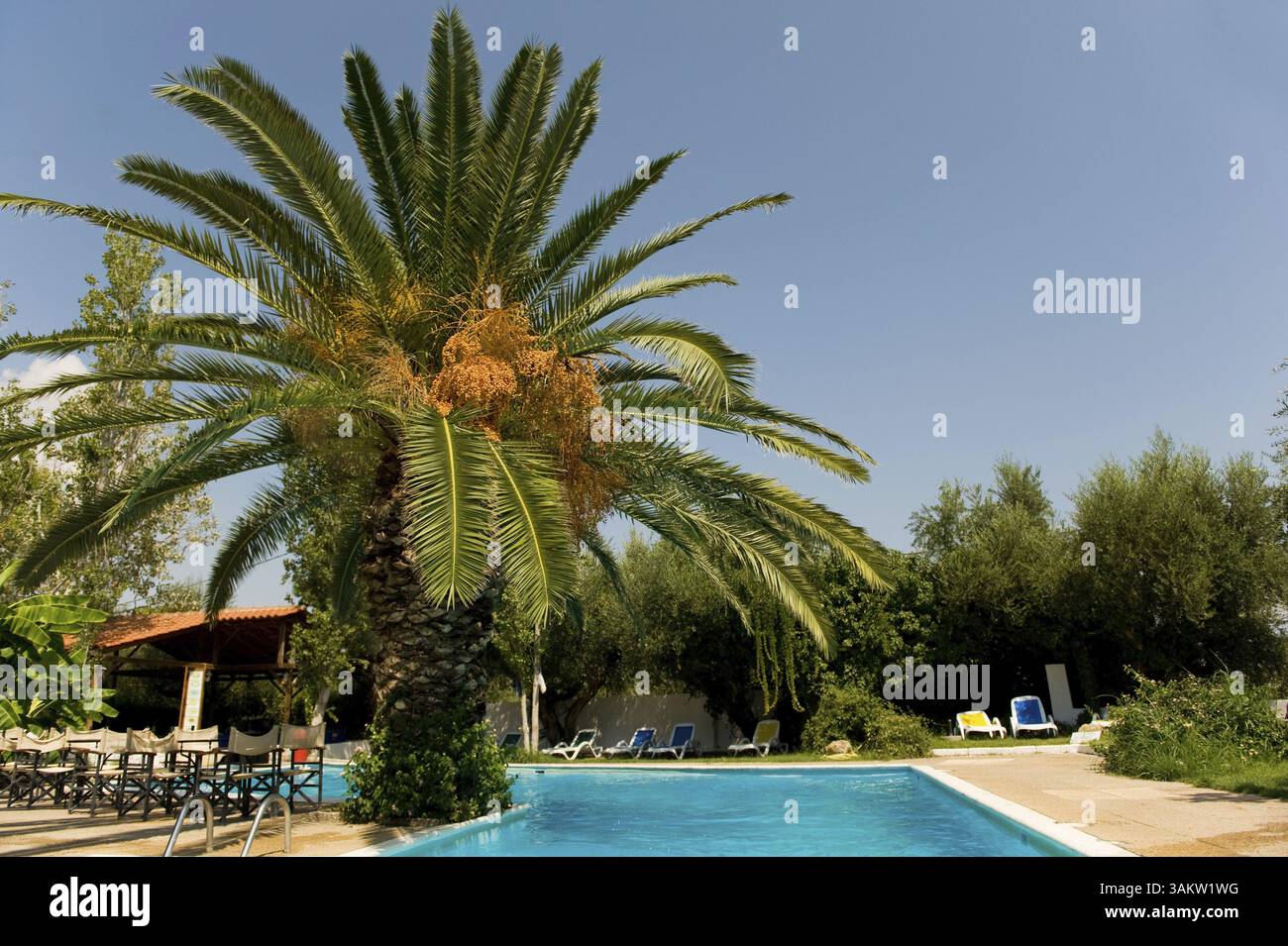 View of Tropical luxury swimming pool from the hotel Stock Photo - Alamy