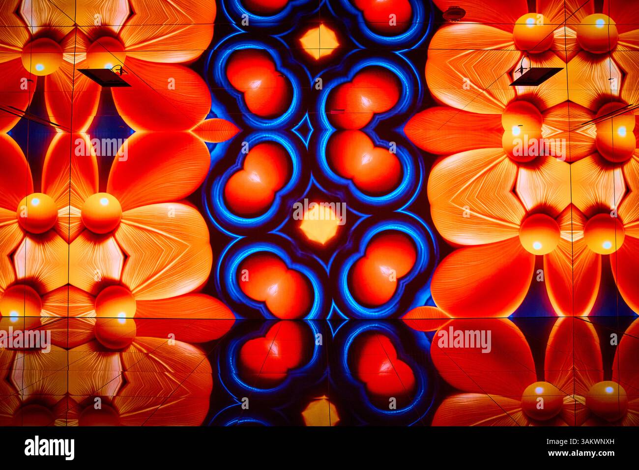 Vibrant Abstract Flower Patterns with Symmetrical Motion Perspective ...