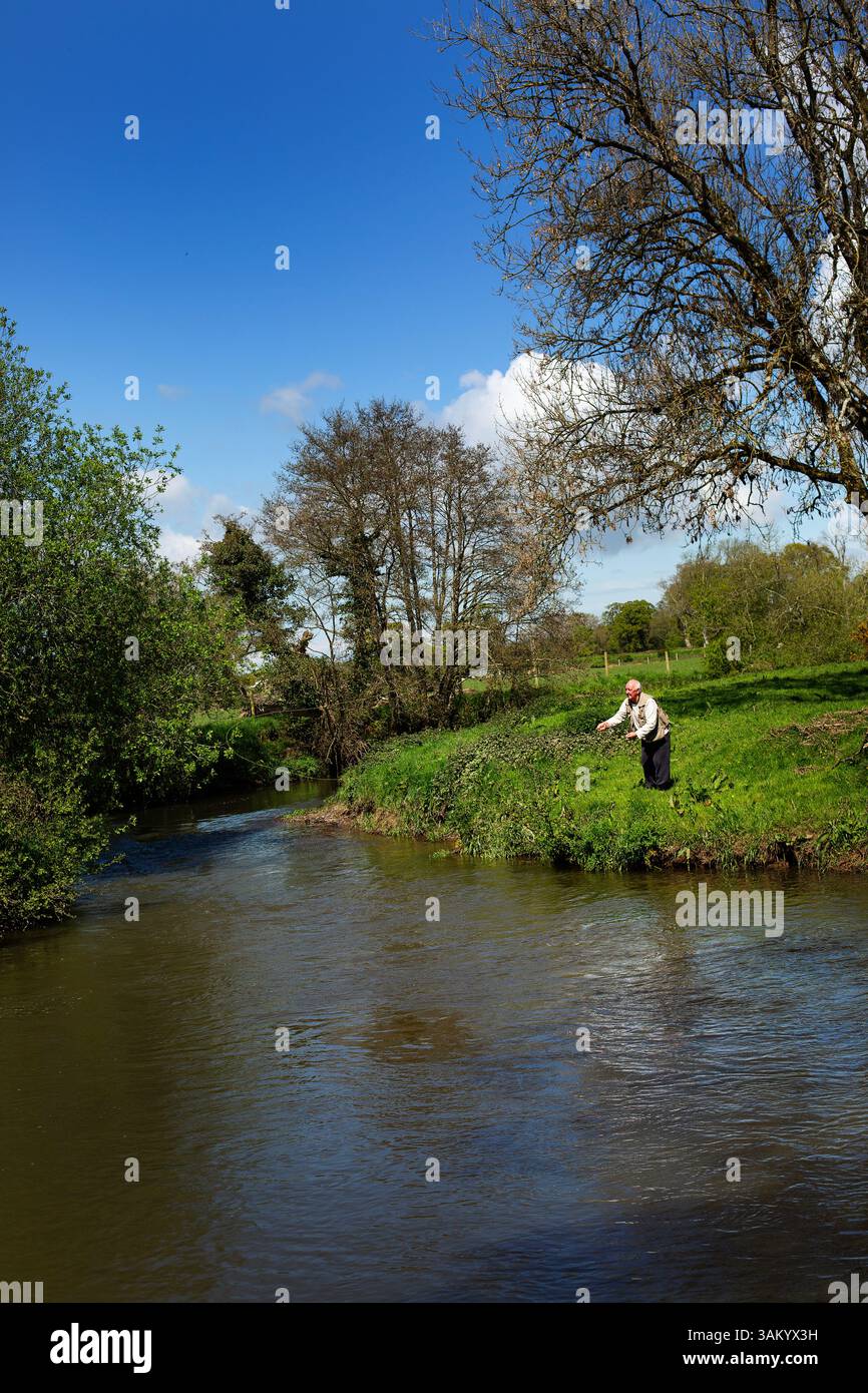 A retired man fly fishing on a westcountry river, uk Stock Photo