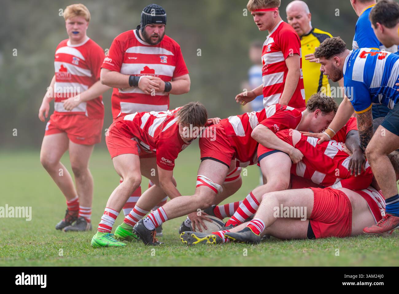 Scrum england rugby union hi-res stock photography and images - Alamy