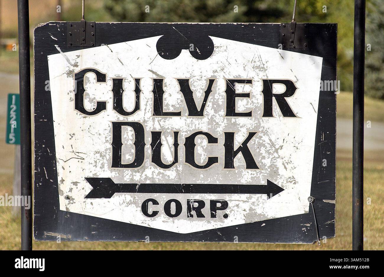 Sept. 28, 2004 - U.S. - KRT FOOD STORY SLUGGED: DUCK KRT PHOTO BY BOB FILA/CHICAGO TRIBUNE (November 1) The Culver Duck Farm in Middlebury, Indiana. (mvw) 2004 (Credit Image: © Bob Fila/mct/ZUMAPRESS.com) Stock Photo