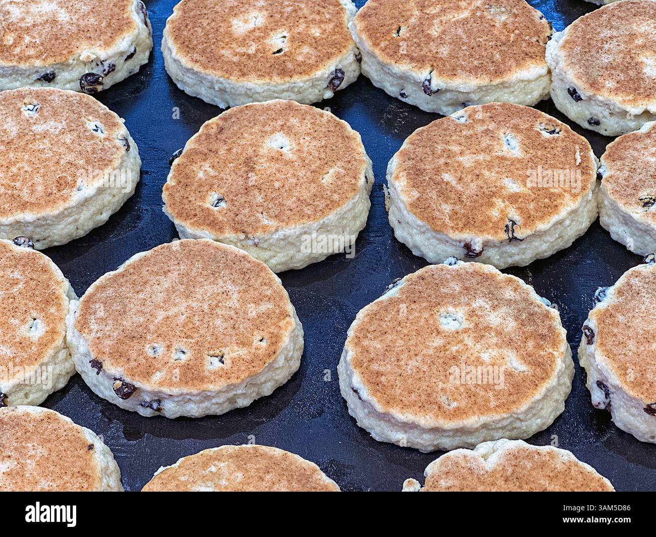 Rows of traditional Welsh cakes cooking on a hot griddle. No people. - Smartphone Captured Stock Image
