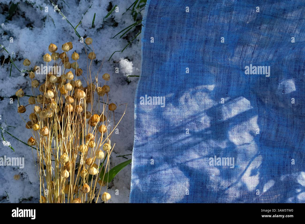 Plant fibers hi-res stock photography and images - Alamy