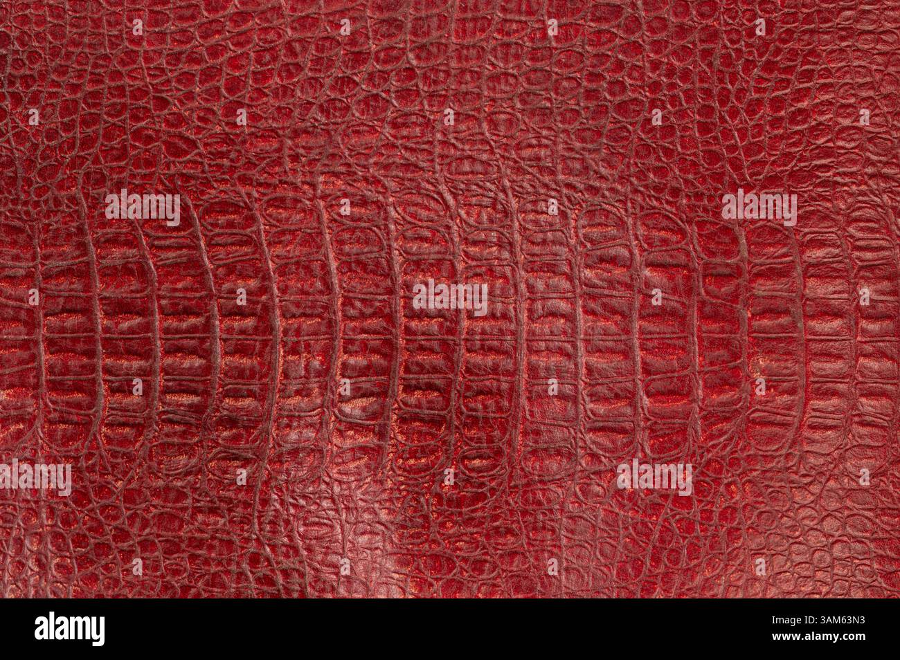 Red crocodile leather texture macro close up view Stock Photo