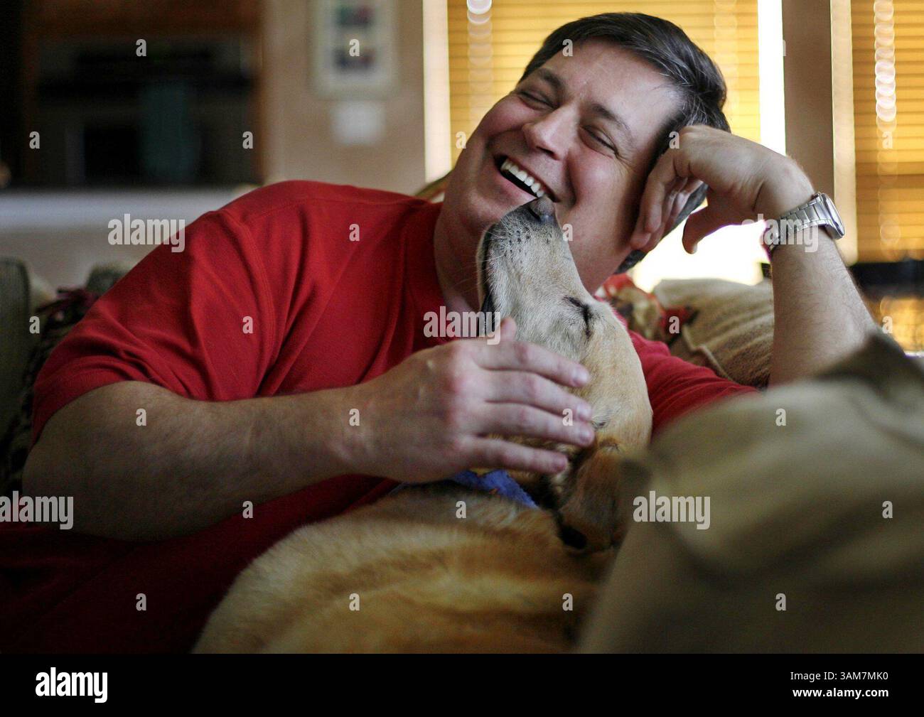 April 6, 2006 - U.S. - Cancer survivor Mark Stapleton sits with his yellow lab Kiley at his Frisco, Texas home, April 6, 2006.  Cancer survivors must deal with fears of recurrence, treatment side effects, long-term consequences and other challenges. (Rick Gershon/Dallas Morning News/KRT) (Credit Image: © Rick Gershon/mct/ZUMAPRESS.com) Stock Photo