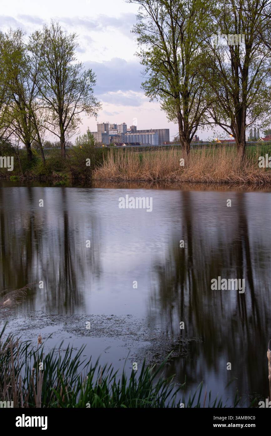 Calm waters reflect tall trees in a serene riverside view, with distant ...
