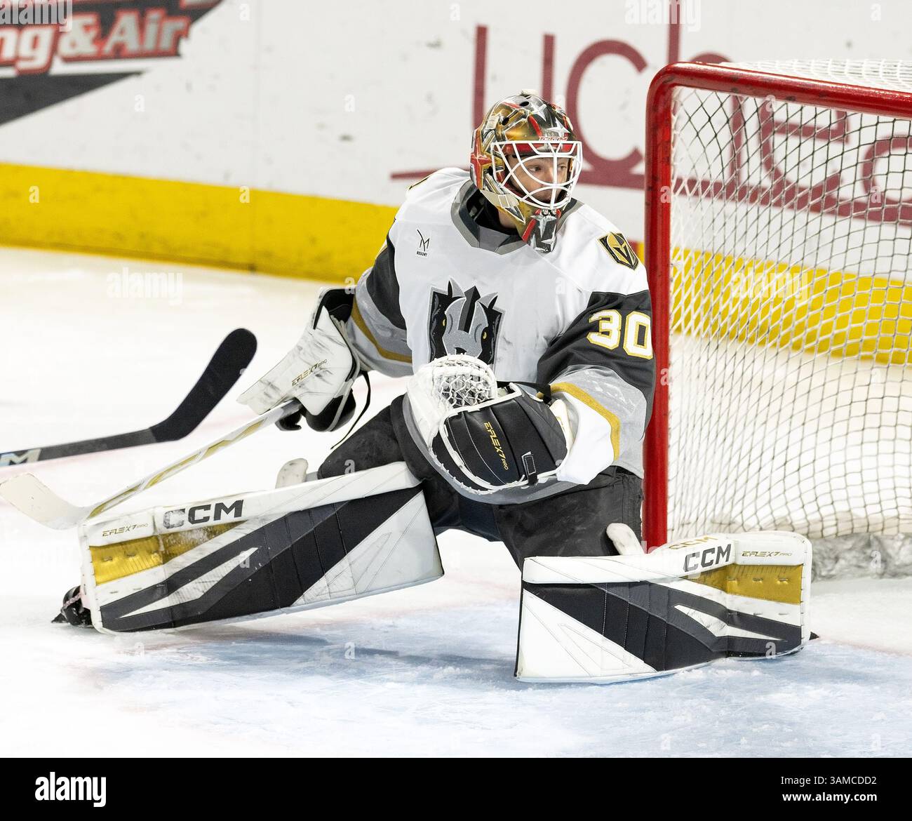 Colorado Eagles Secure Double Hockey Victory