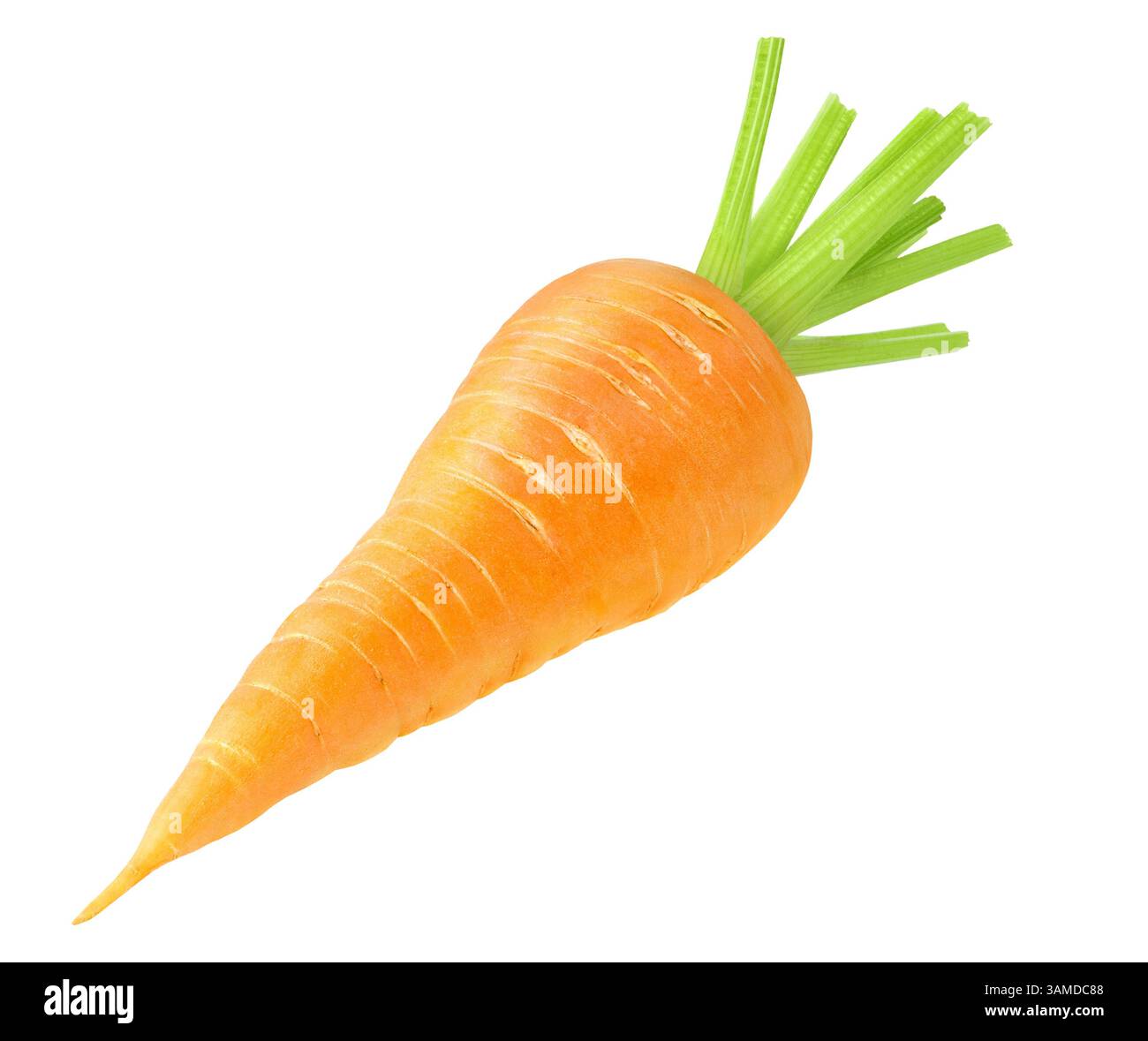 One raw carrot isolated on white background Stock Photo
