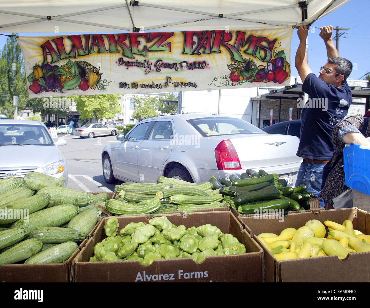 July 9, 2008 - Seattle, WA, USA - Octavio Sanchez hangs the farm's banner at the Columbia City farmers market in Seattle, Washington. (Dean Rutz/Seattle Times/MCT) (Credit Image: © Dean Rutz/MCT/ZUMAPRESS.com) Stock Photo