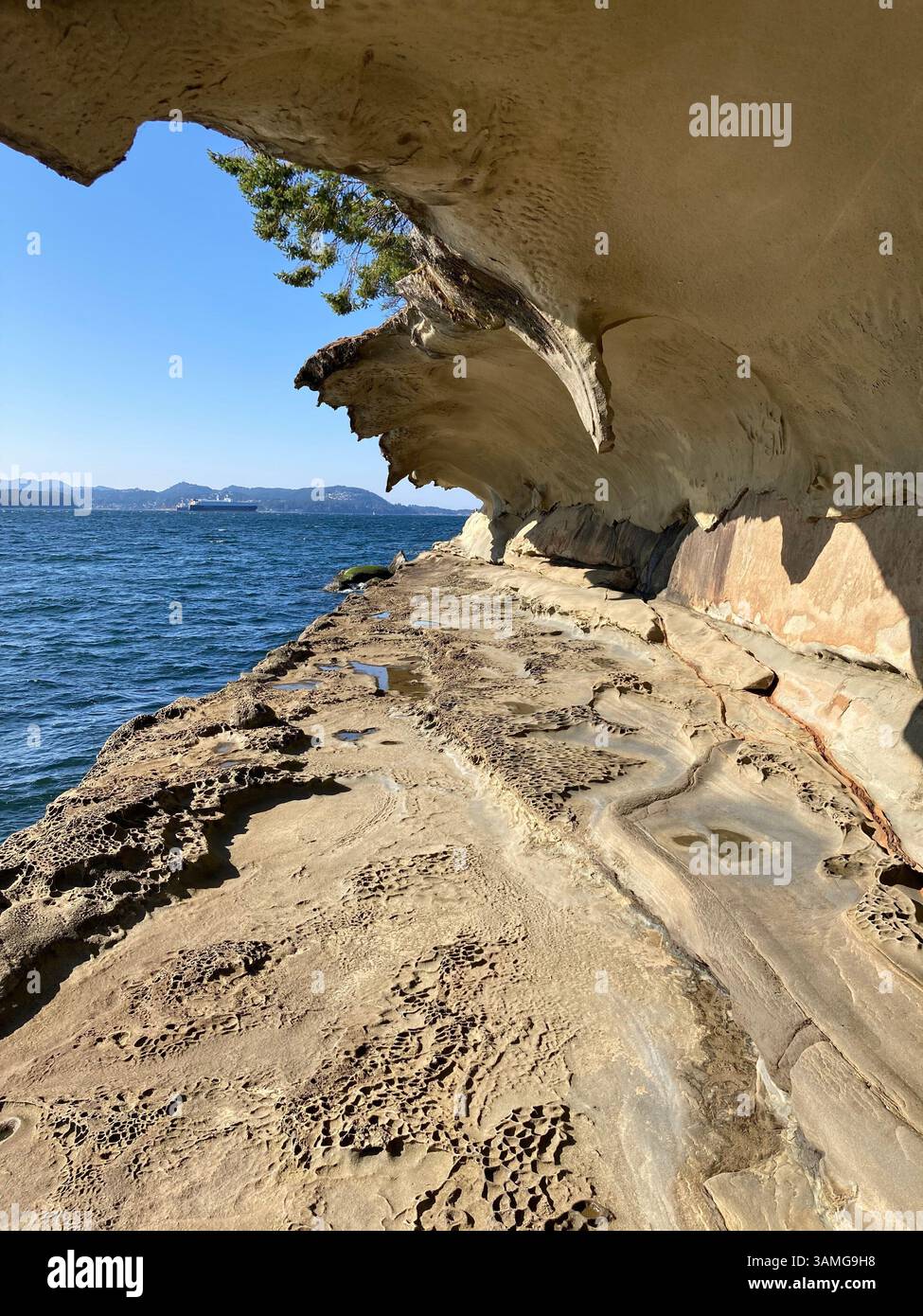 Malaspina Galleries Community Park, Gabriola Island, British Columbia,Canada - Smartphone Captured Stock Image