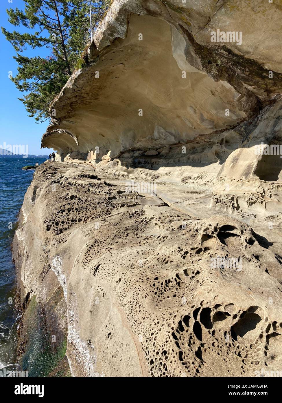 Malaspina Galleries Community Park, Gabriola Island, British Columbia,Canada - Smartphone Captured Stock Image
