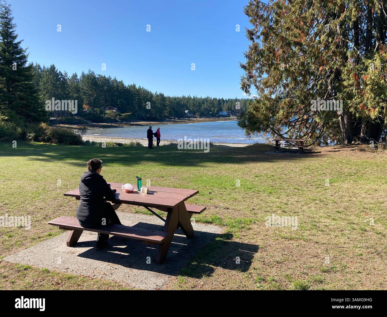 Gabriola Sands Provincial Park, Gabriola Island, British Columbia,Canada - Smartphone Captured Stock Image