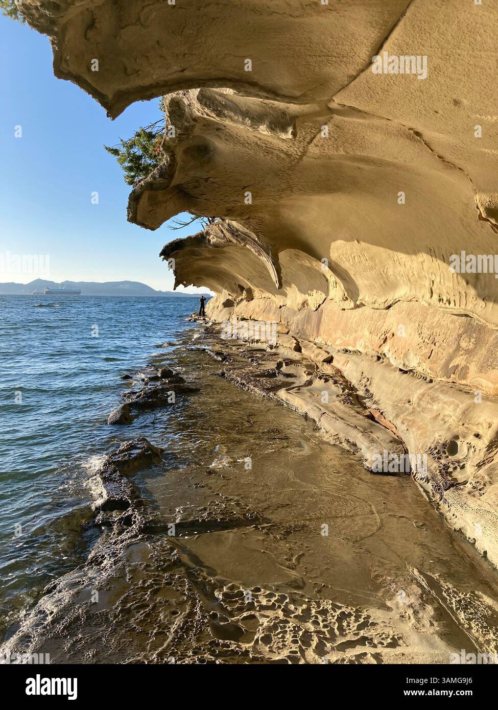 Malaspina Galleries Community Park, Gabriola Island, British Columbia,Canada - Smartphone Captured Stock Image