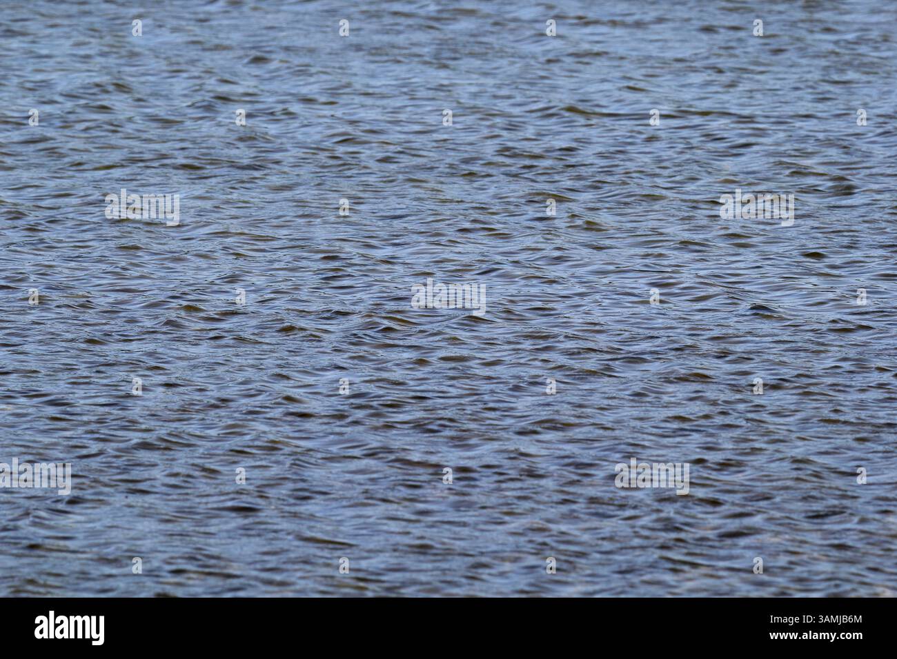 Gentle ripples on the surface of a lake of water Stock Photo - Alamy